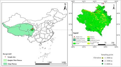 Shrub Expansion is Mainly Affected by Climate-Dominated Functional Traits in Alpine Meadow